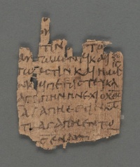 Papyrus 9